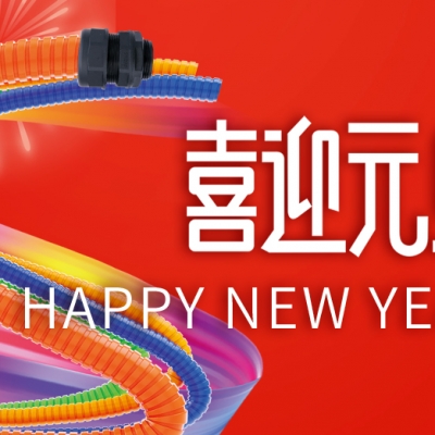 浙江雷諾爾 - 同心聚力 共創(chuàng)未來(lái)