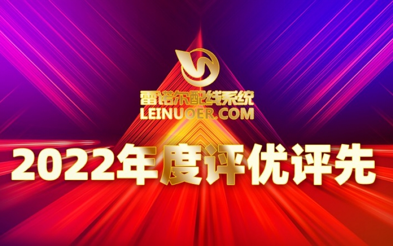 優(yōu)秀模范引領優(yōu)質(zhì)服務 雷諾爾2022年度評優(yōu)評先